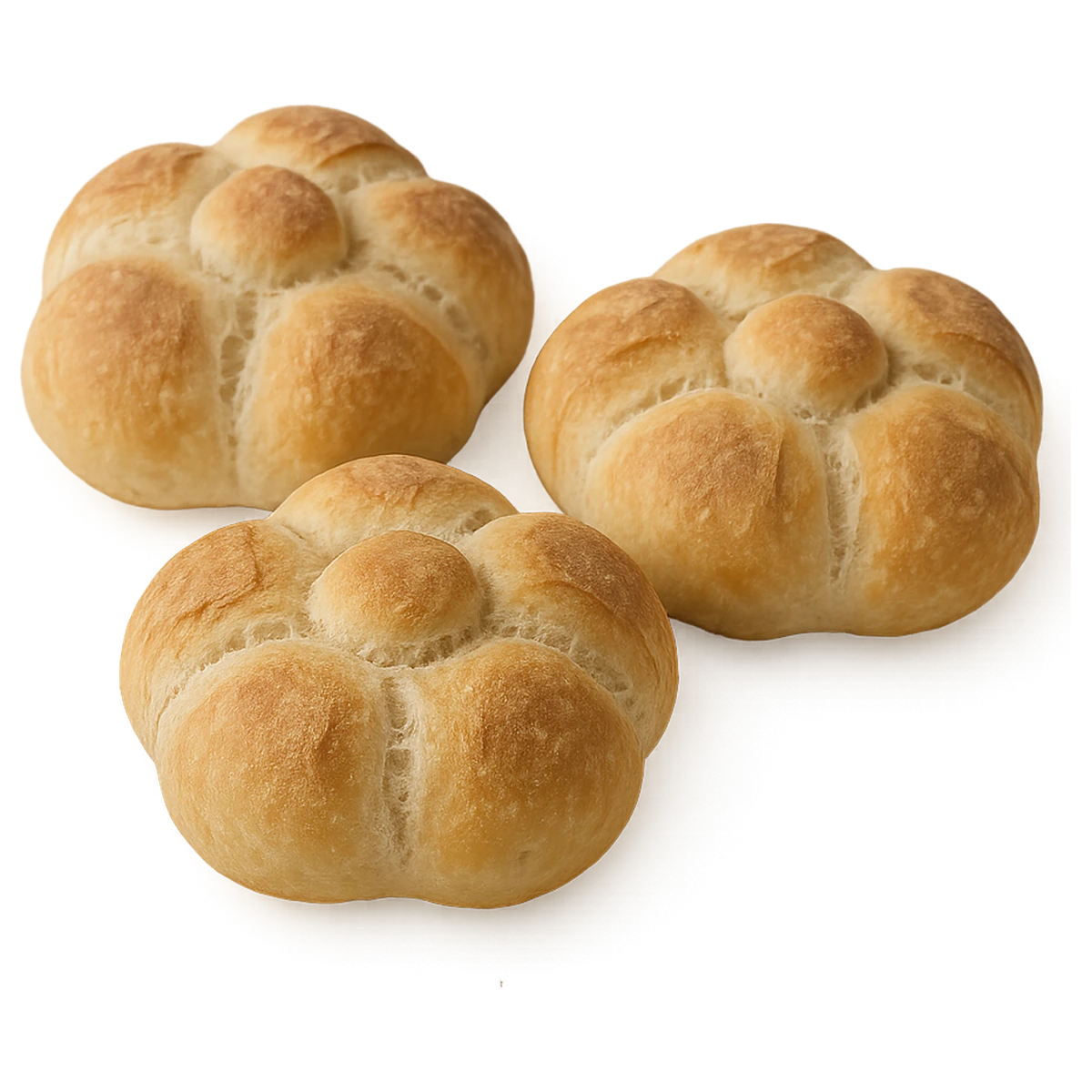 Rosetta rolls